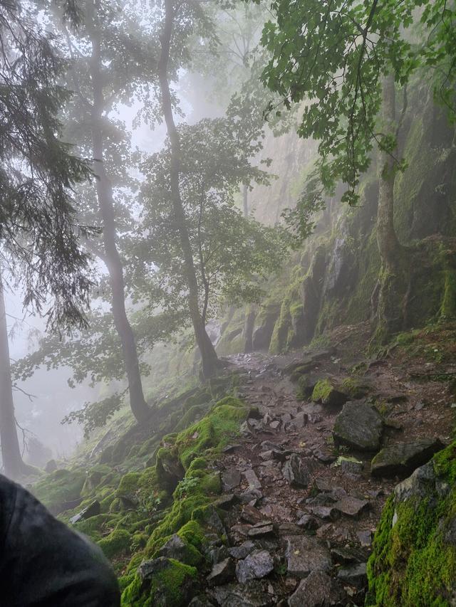 Quelque part dans les Vosges 🏔️